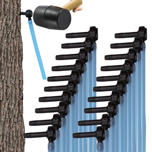 Deluxe Maple Syrup Tree Tapping and Sugaring Starter Kit Pack