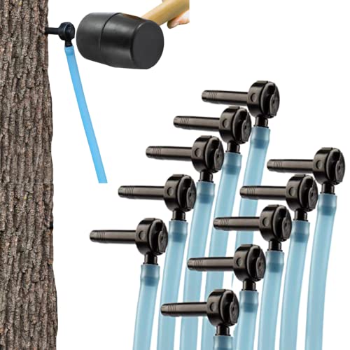 Deluxe Maple Syrup Tree Tapping and Sugaring Starter Kit Pack