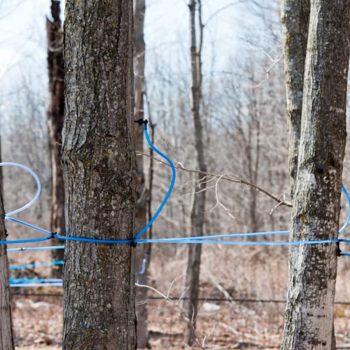 Deluxe Maple Syrup Tree Tapping and Sugaring Starter Kit Pack
