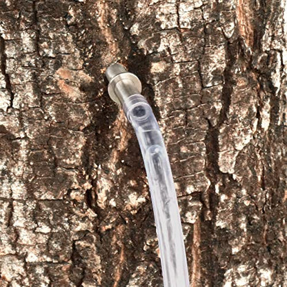 Maple Syrup Tapping Kit, Stainless Steel Maple Tree Taps Spiles for Making Maple Syrup, Tree Tapping Kit Maple Syrup Supplies(6 pcs)